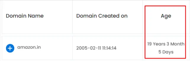 domain age